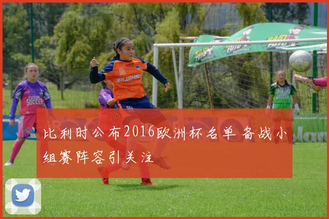 比利时公布2016欧洲杯名单 备战小组赛阵容引关注