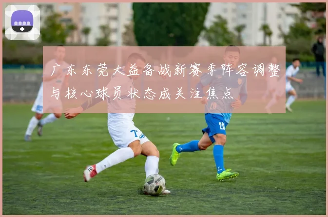 广东东莞大益备战新赛季阵容调整与核心球员状态成关注焦点