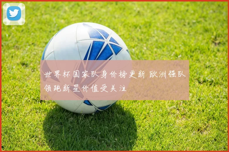 世界杯国家队身价榜更新 欧洲强队领跑新星价值受关注