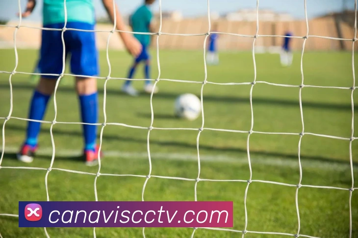 新爱体育app官网品牌故事