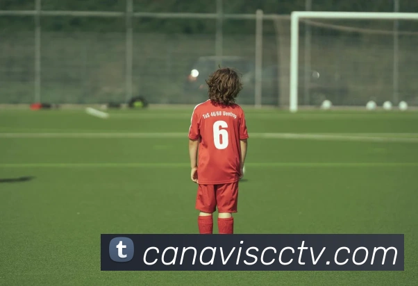 多媒体互动体验